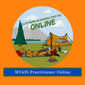 Wilderness First Aid 35 Online