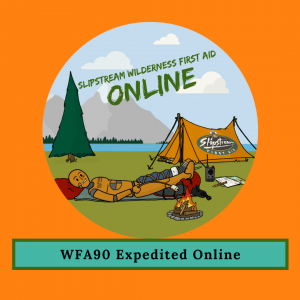 Wilderness First Aid 90 Online